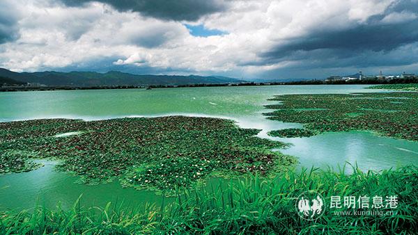 西山区生态治理