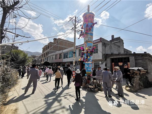 图片1：阳宗大香