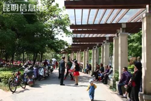 mmexport1550674293266