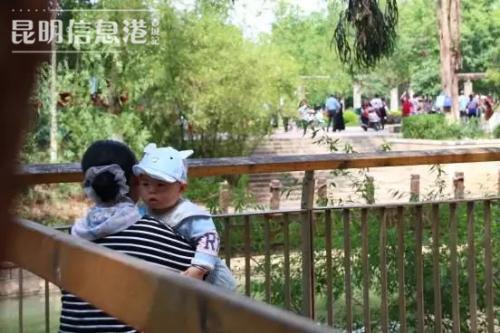 mmexport1550674297985