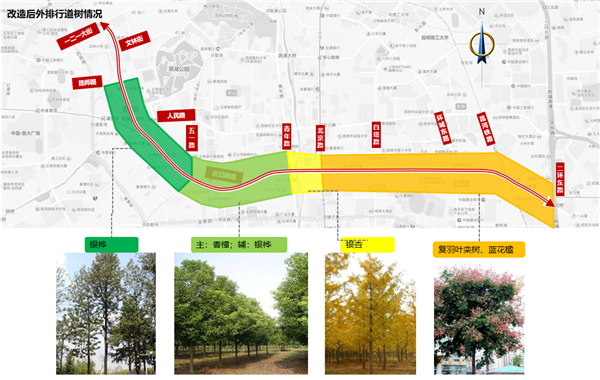 行道树种类统一