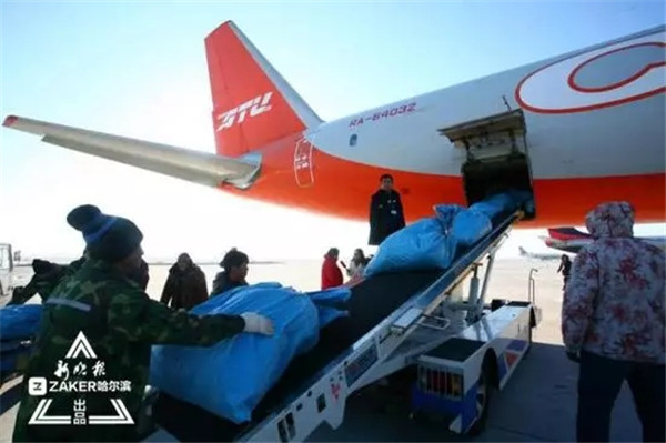 1.webp (1) 1.webp (1)