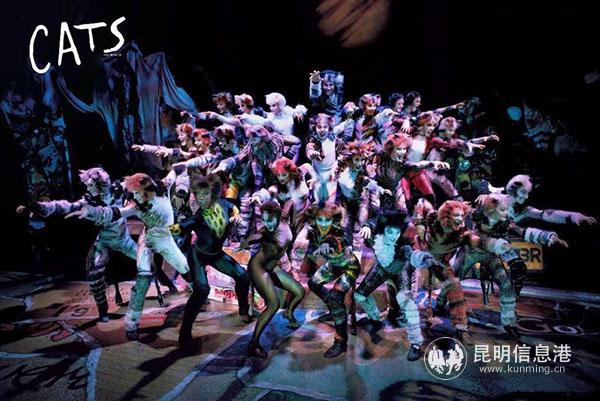英国原版音乐剧《猫》 英国原版音乐剧《猫》