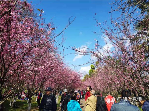 蓝天下的昆明动物园。