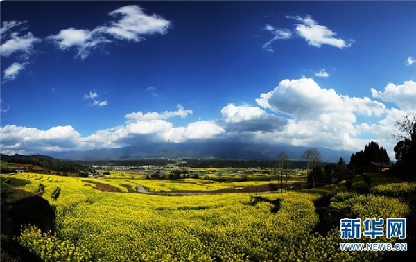 00300440526_73ec9ca2