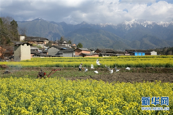 00300440529_f74c6011