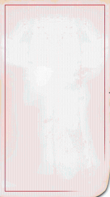 W020190307659973862827 W020190307659973862827