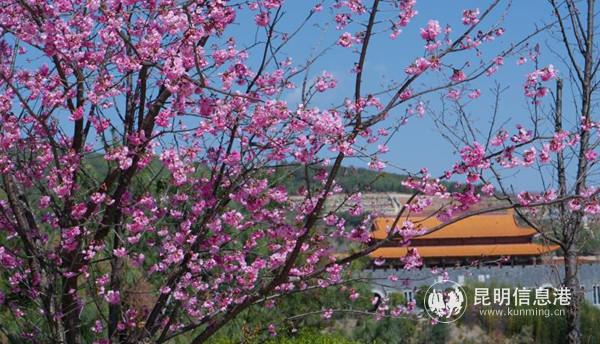 mmexport1552038892499