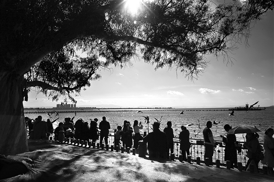 20190311A03_res03_attpic_brief