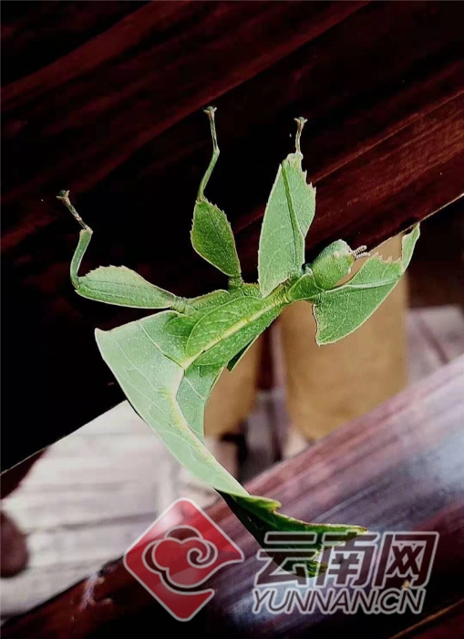 00300457784_c2634a3d 00300457784_c2634a3d