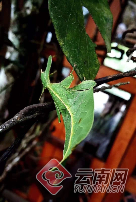 00300457785_5ec4251b 00300457785_5ec4251b