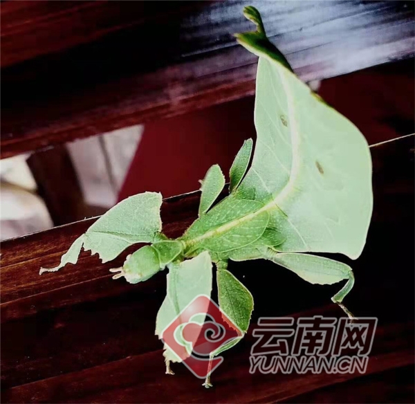 00300457786_0634f806 00300457786_0634f806