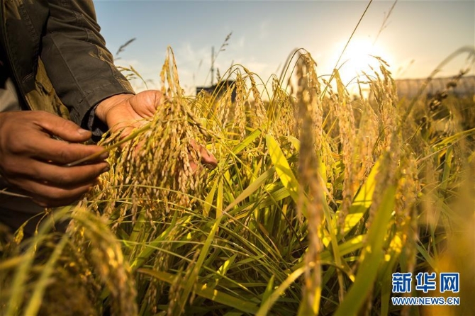 1124236543_15525833350791n