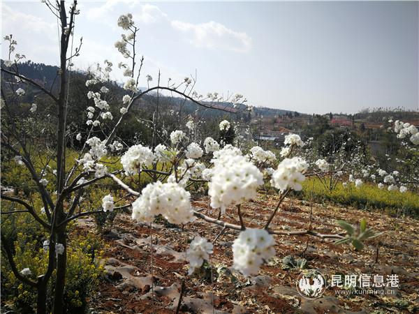 IMG_20190316_103507 IMG_20190316_103507