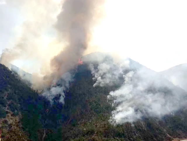 96b4ff53-0bf7-45fd-884a-94b1b5e4f312_w640