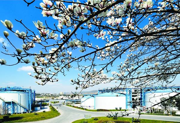 海口工业园三环化工1_副本 海口工业园三环化工1_副本