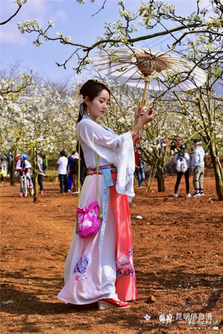 3、梨花仙子。彩龙社区网友@憶影拾光 摄。 3、梨花仙子。彩龙社区网友@憶影拾光 摄。