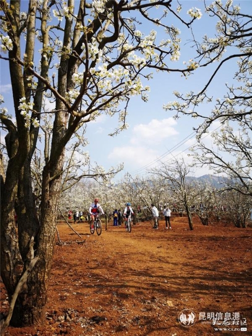6、梨园下运动。彩龙社区网友@琪琪的妈妈 摄。 6、梨园下运动。彩龙社区网友@琪琪的妈妈 摄。