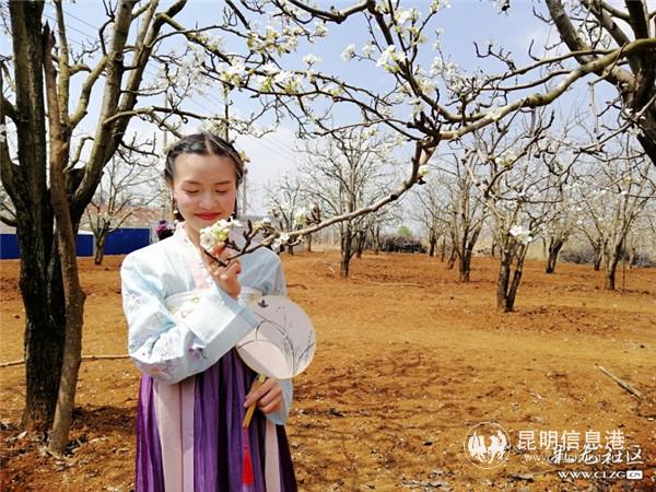 8、汉服与梨花相映,美人与美景同框。汉服与梨花相映,美人与美景同框。彩龙社区网友@达昆玉 摄。 8、汉服与梨花相映,美人与美景同框。汉服与梨花相映,美人与美景同框。彩龙社区网友@达昆玉 摄。