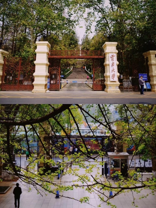 春色满园春意浓!一起来云南高校遇见春天