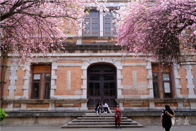 春色满园春意浓!一起来云南高校遇见春天