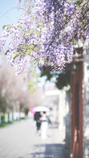 春色满园春意浓!一起来云南高校遇见春天