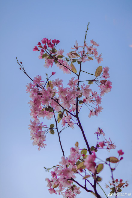 春色满园春意浓!一起来云南高校遇见春天