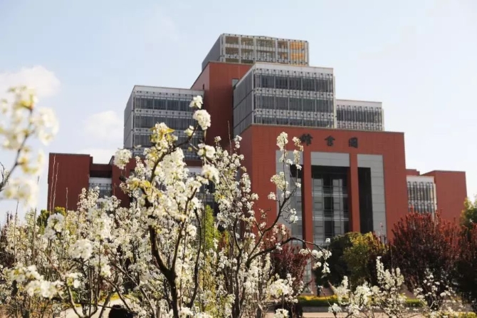 春色满园春意浓!一起来云南高校遇见春天