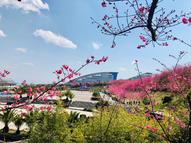 春色满园春意浓!一起来云南高校遇见春天