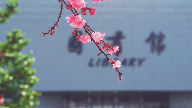 春色满园春意浓!一起来云南高校遇见春天