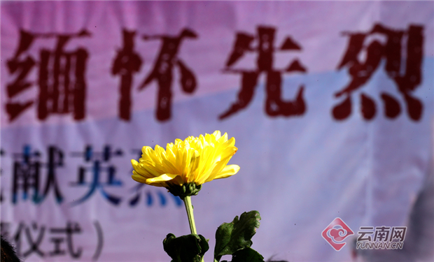 00300492038_cc83c7c2