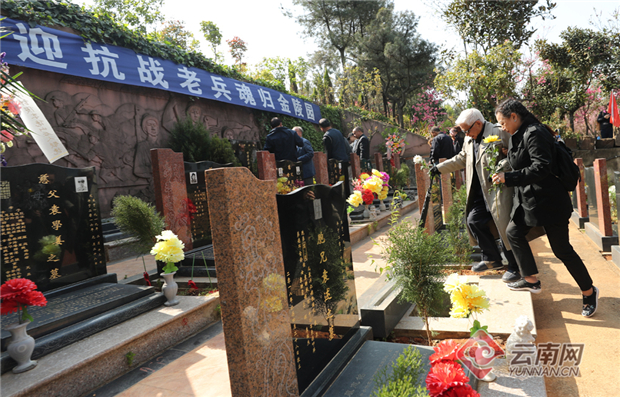 00300492035_9a6d5ab8