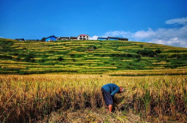 1124270764_15532451896611n