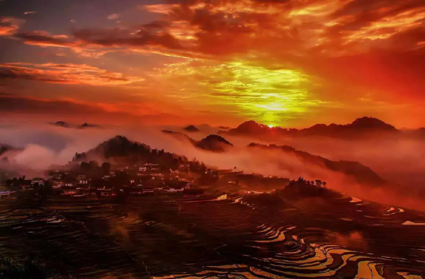 1124270764_15532430951571n