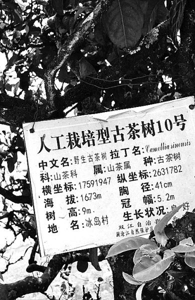 微信图片_20190325164511