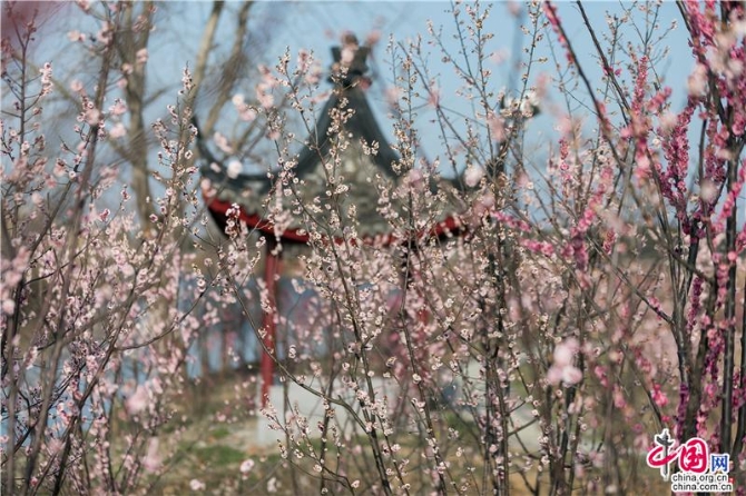 a383371f-307a-4517-8ecc-20c2516e532f_batchwm