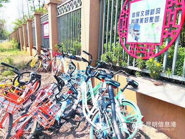 共享单车被丢在绿化带中。