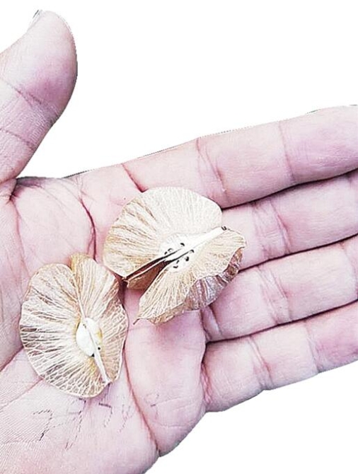 00300501138_a288d31a