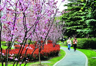 上海:贯通城市绿色动脉 构建都市绿色网络 上海:贯通城市绿色动脉 构建都市绿色网络