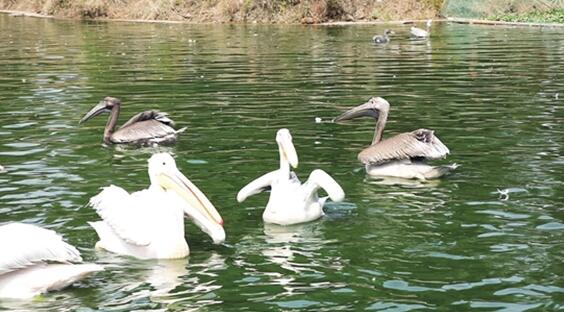 00300504626_0f5582b5