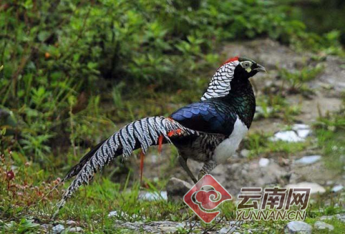 00300505947_37e169d0