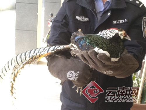 00300505950_67d2668d