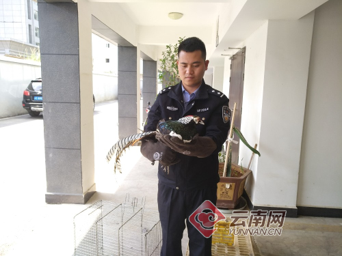 00300505949_d3d9e8f8