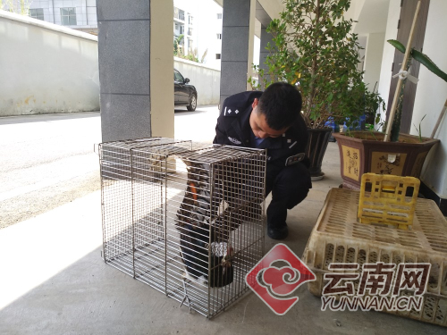 00300505948_6725d908