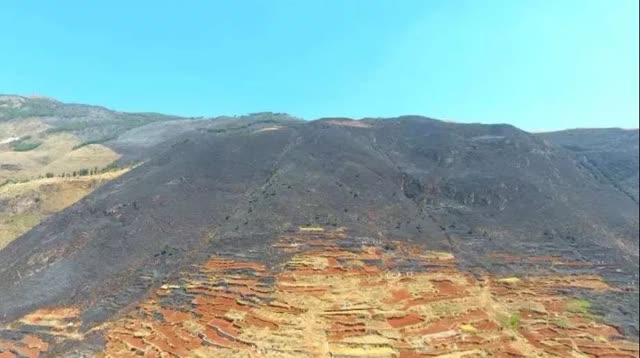 4天内,曲靖多地发生山林火灾4