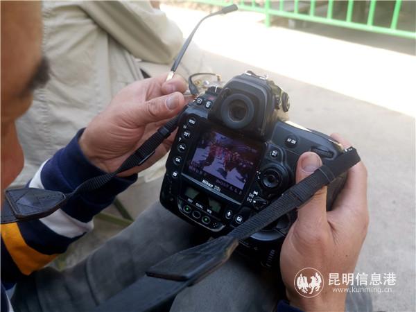 彩龙网友在查看今天的作品