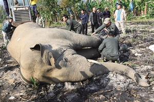 20190408A09_res04_attpic_icon 20190408A09_res04_attpic_icon