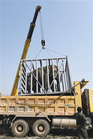 20190408A09_res08_attpic_icon 20190408A09_res08_attpic_icon