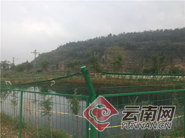 00300532435_197acde0