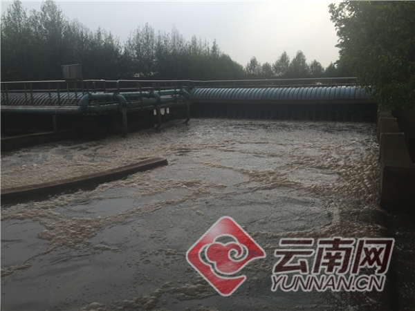 00300532463_5d35ae2f